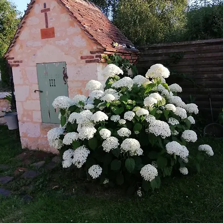 Au Bord De L'huisne Vakantiehuis *