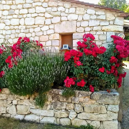 Au Bord De L'huisne Vakantiehuis *