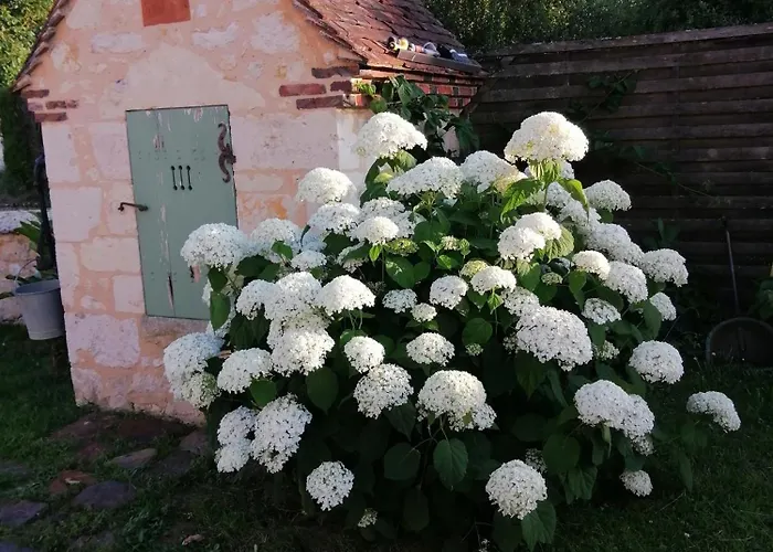 Au Bord De L'huisne بيت للعطل *